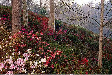 《无主之地3：终极版》次世代实体版11月限量发售